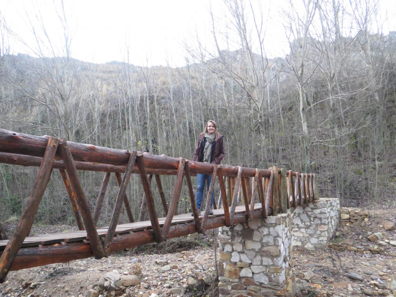 Ancienne mine de Carolina