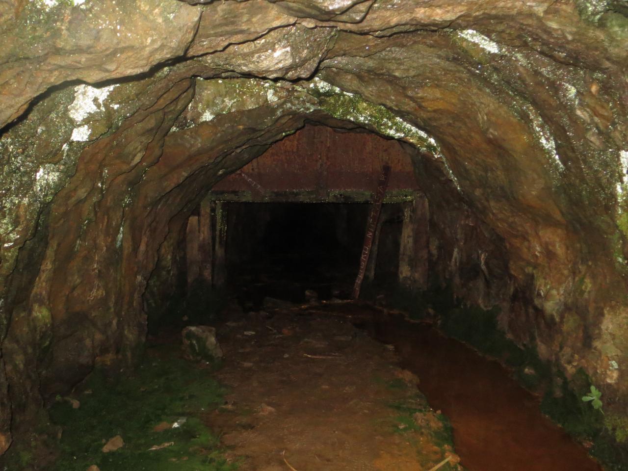 Ancienne mine de Carolina