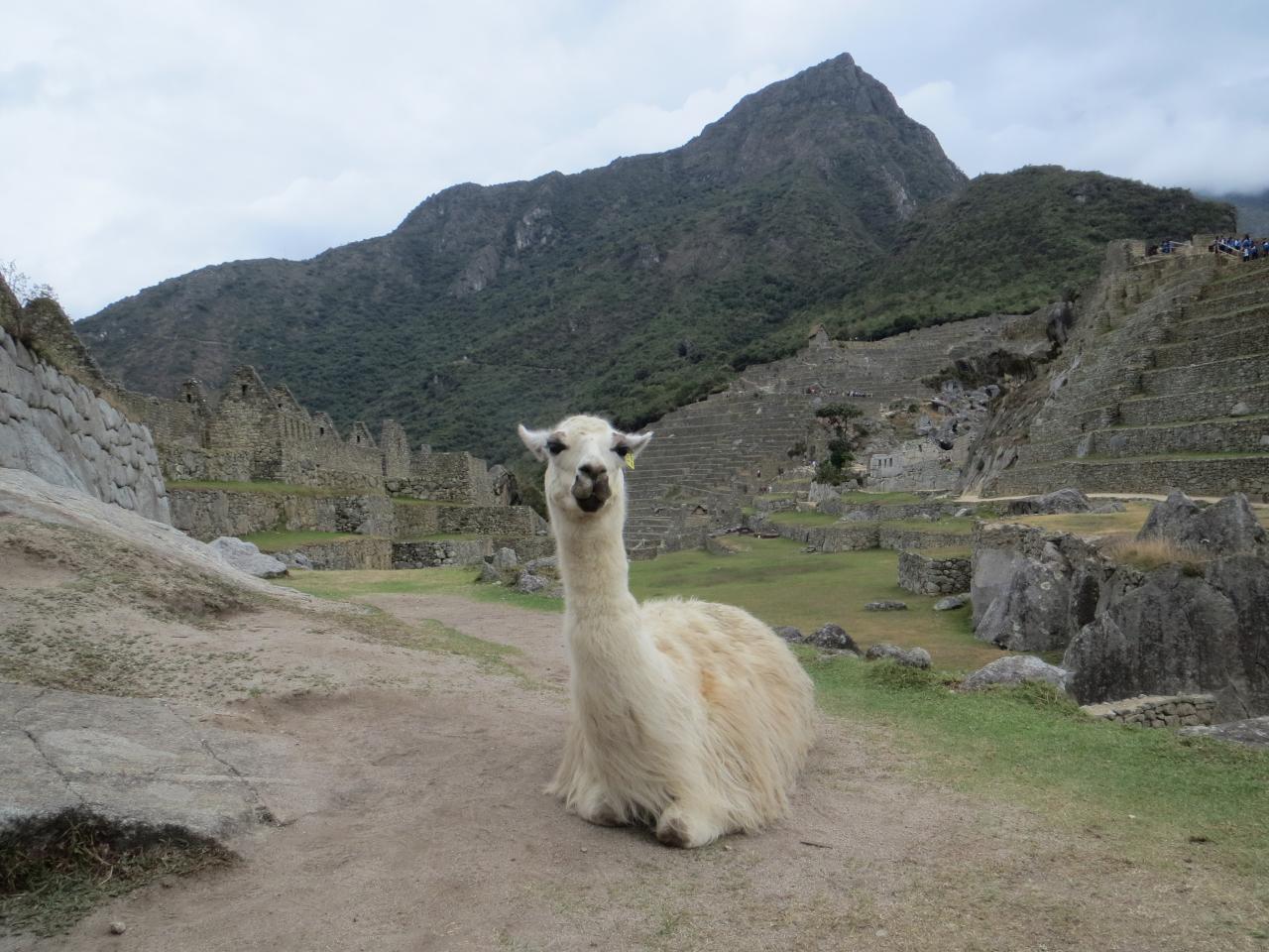 Machu Picchu