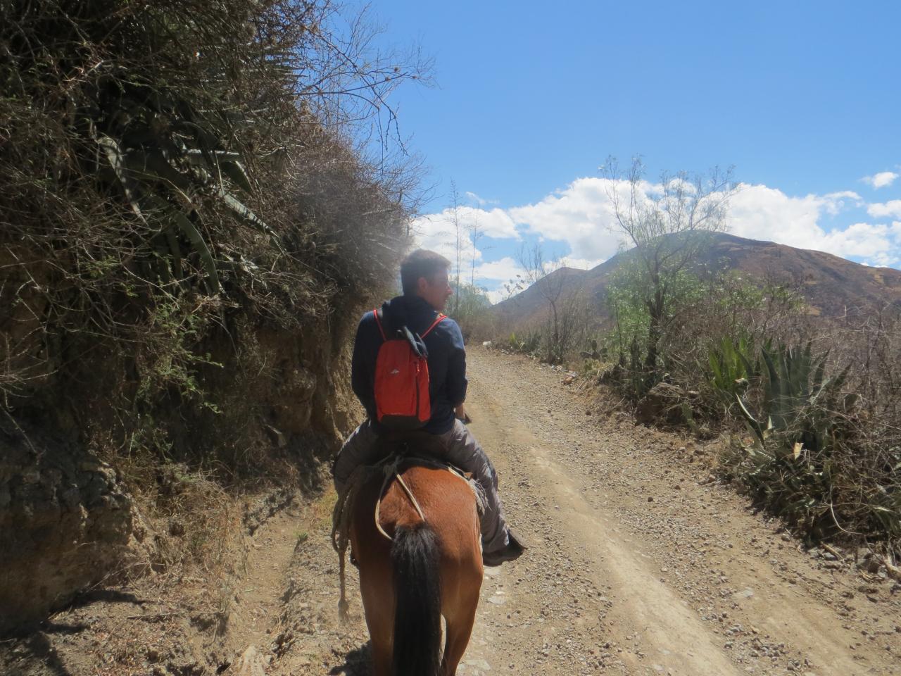 Cordillère blanche : à cheval