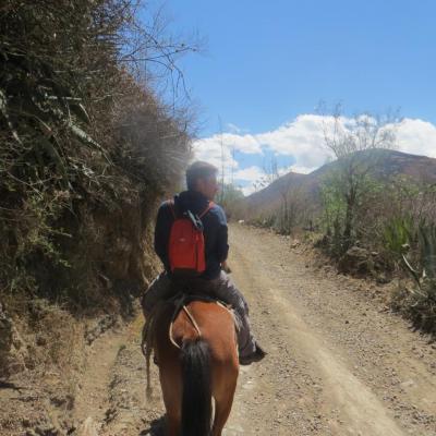 Cordillère blanche : à cheval