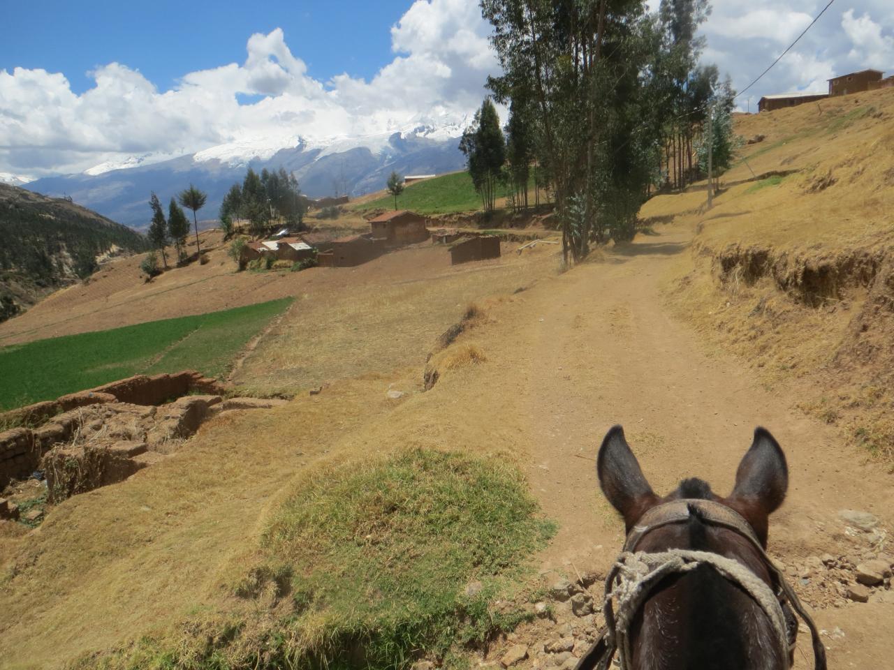 Cordillère blanche : à cheval