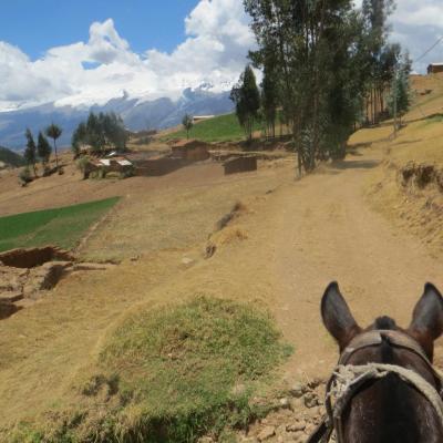 Cordillère blanche : à cheval