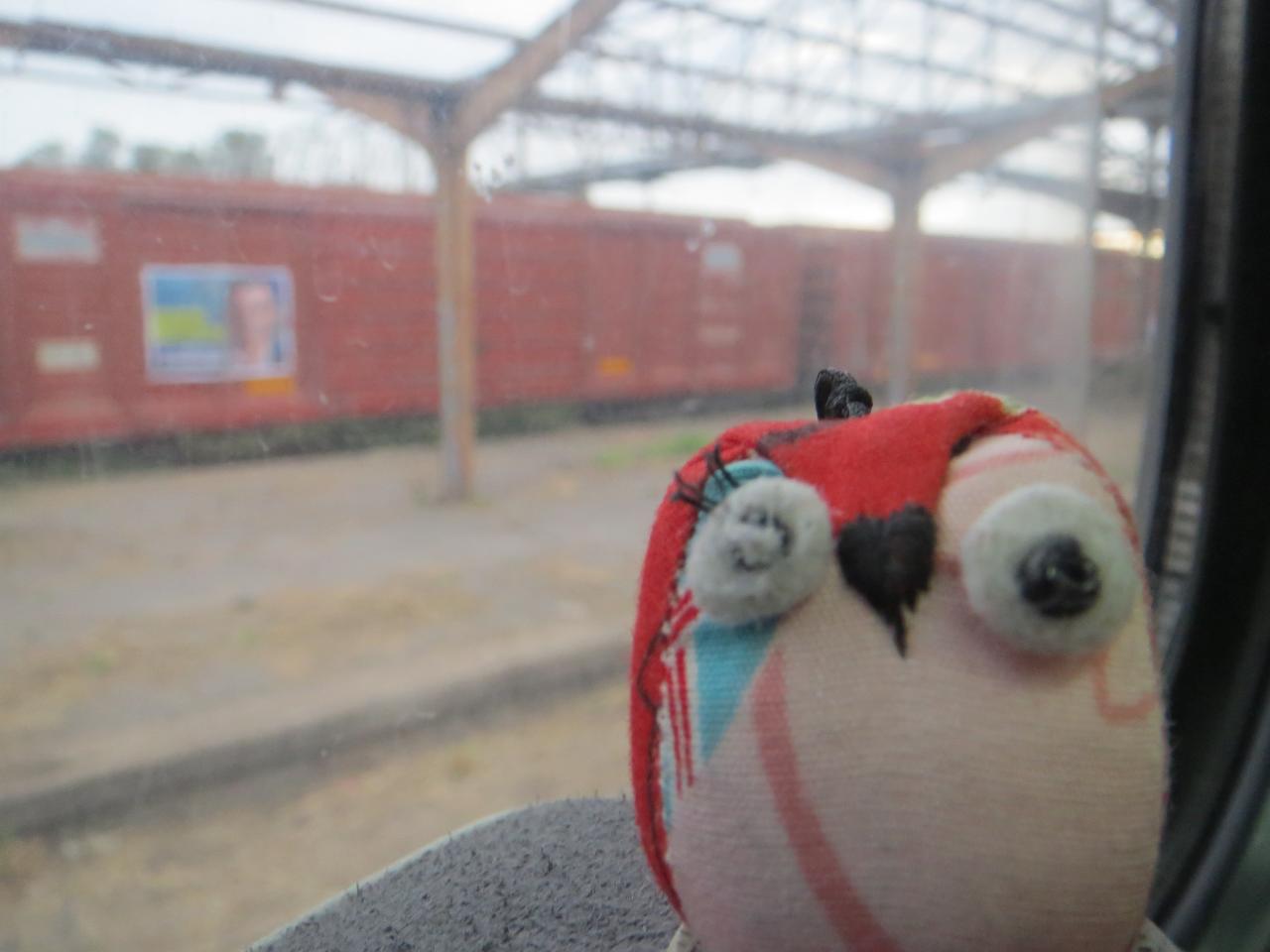 Le train argentin