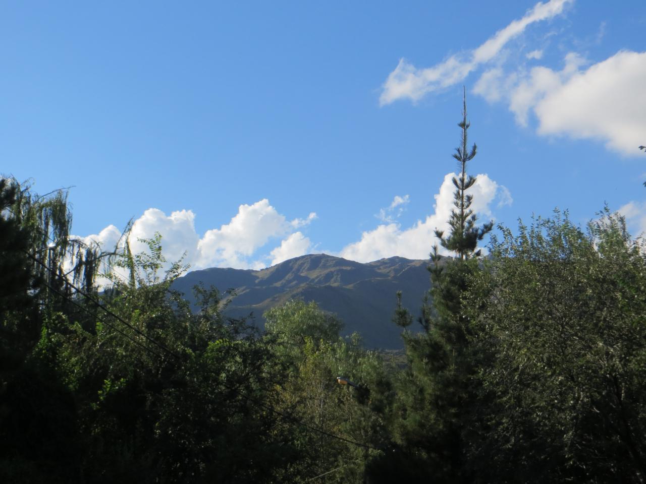 Potrero
