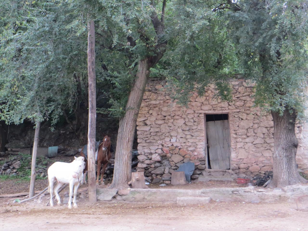 Trapiche 