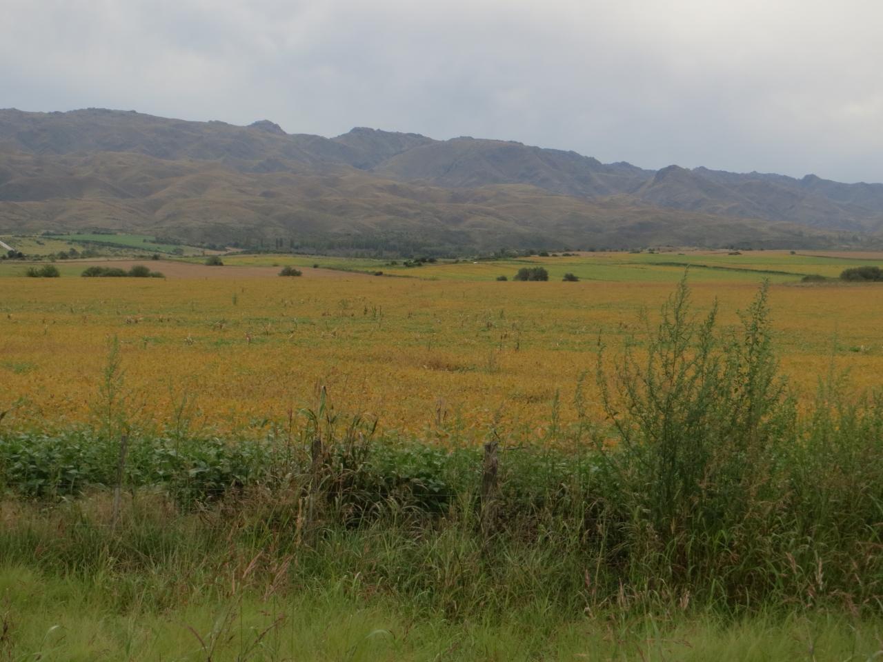 Sierras de San Luis