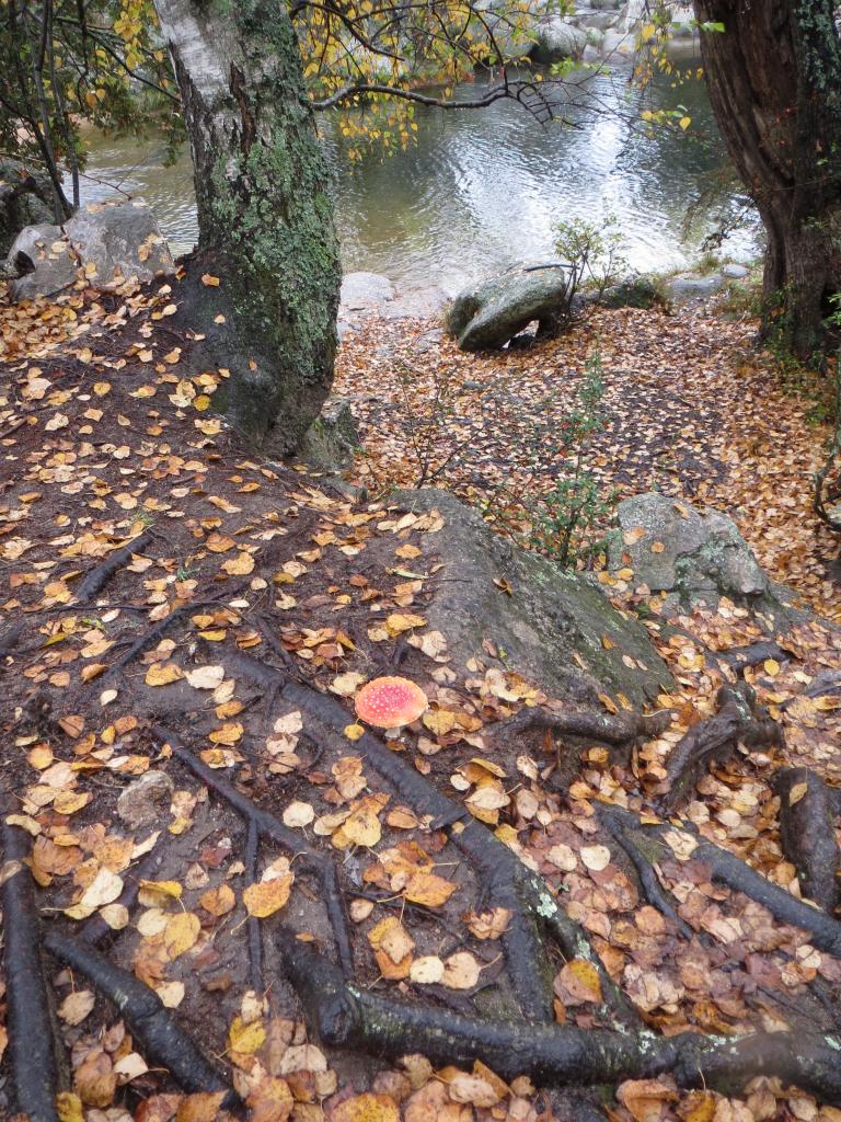 La Cumbrecita