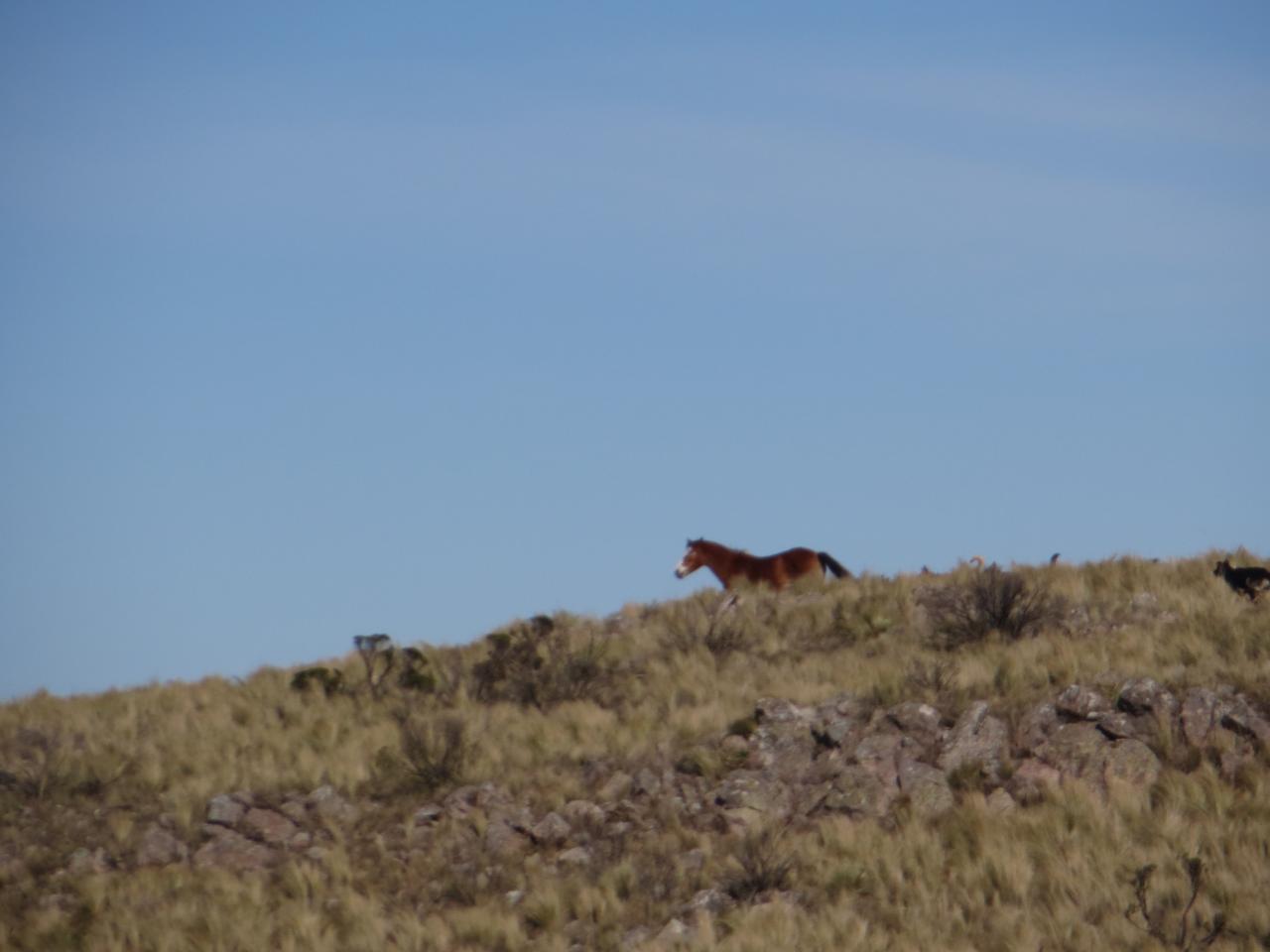 Cerro Uritorco