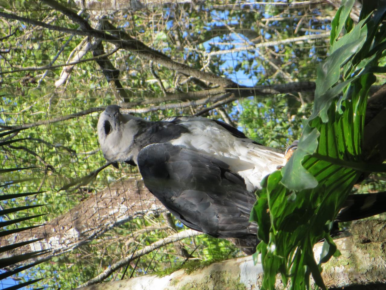 Le parc aux oiseaux (côté brésilien)