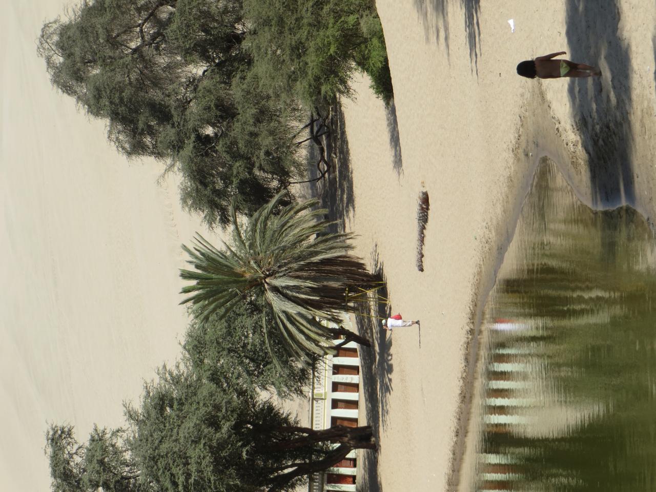 Dunes de Huacachina