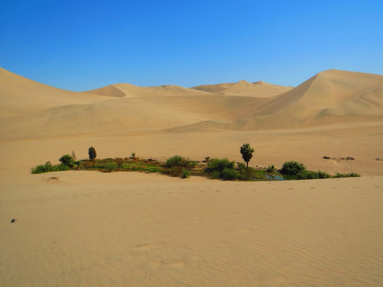 Dunes de Huacachina