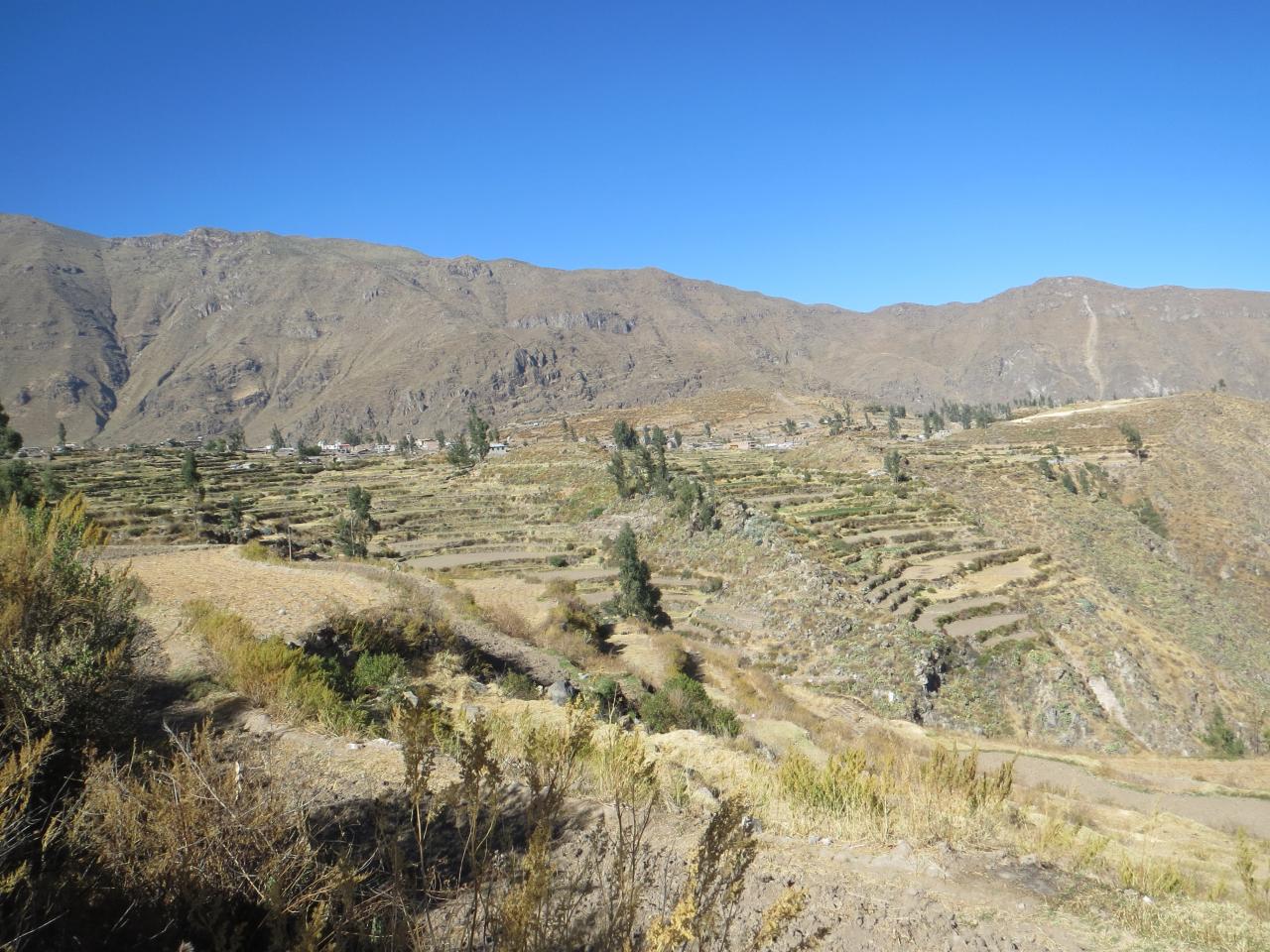 Canyon del Colca