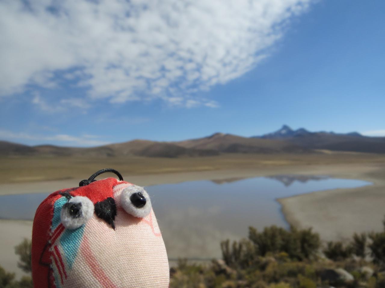 Sajama (Parc du volcan)