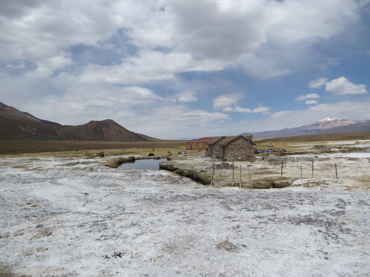 Sajama (Parc du volcan)