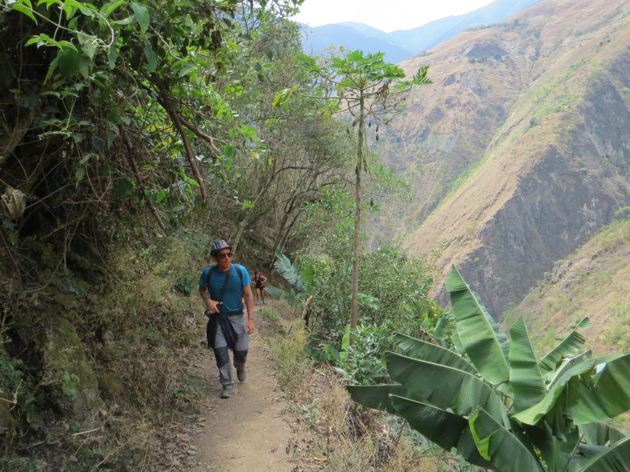 Jungle Trek : direction le Machu Picchu