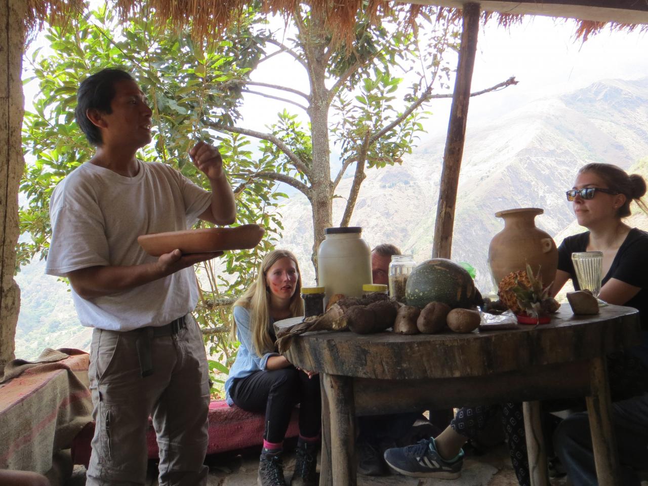 Jungle Trek : direction le Machu Picchu