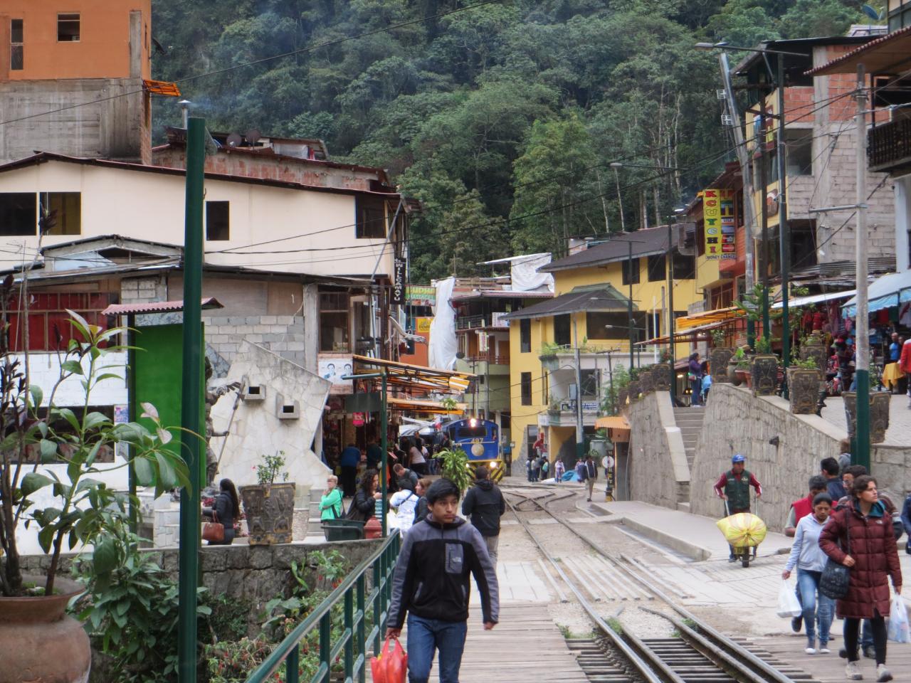 Jungle Trek : direction le Machu Picchu