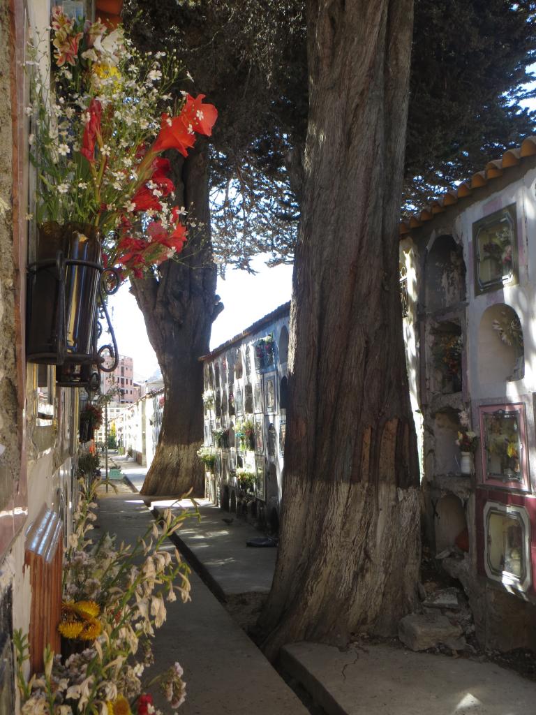 La Paz : le cimetière