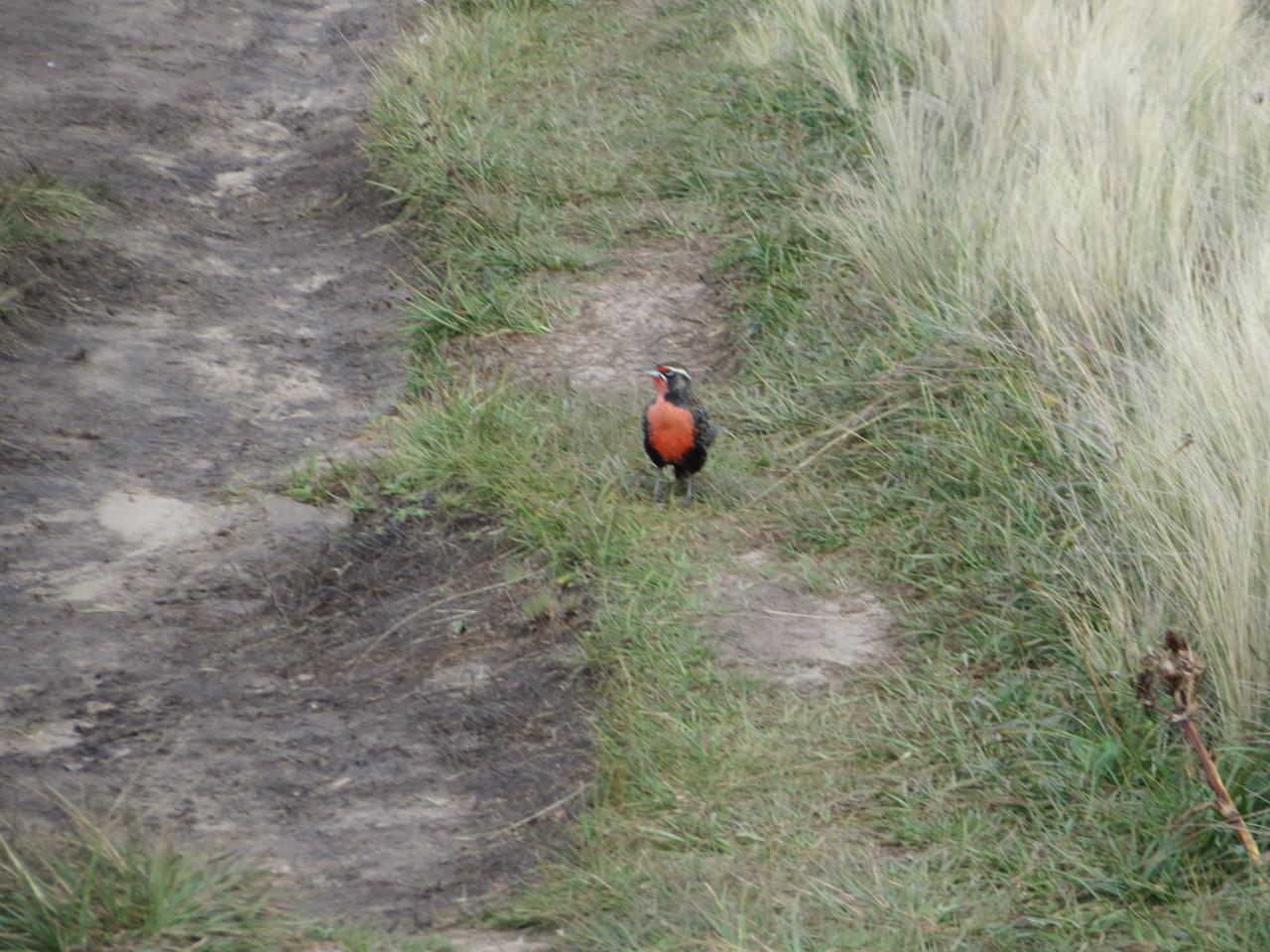Parque del Condorito