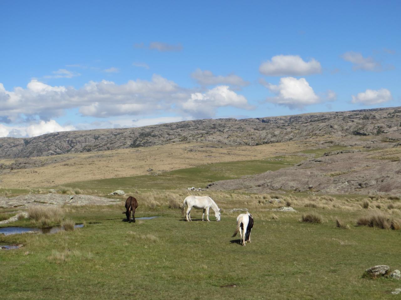 Parque del Condorito