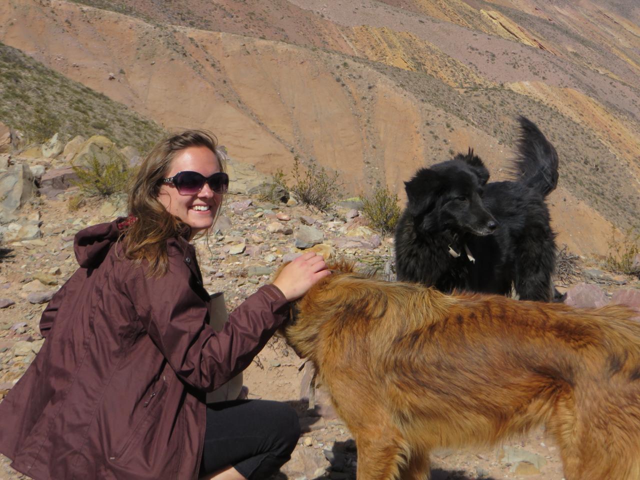 Quebrada de Humahuaca : Randonnée avec les lamas , vallée de Maímara