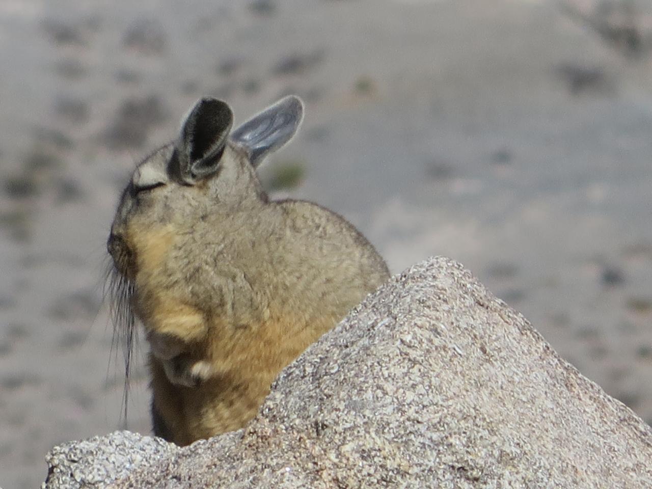 Sur la route des nuages