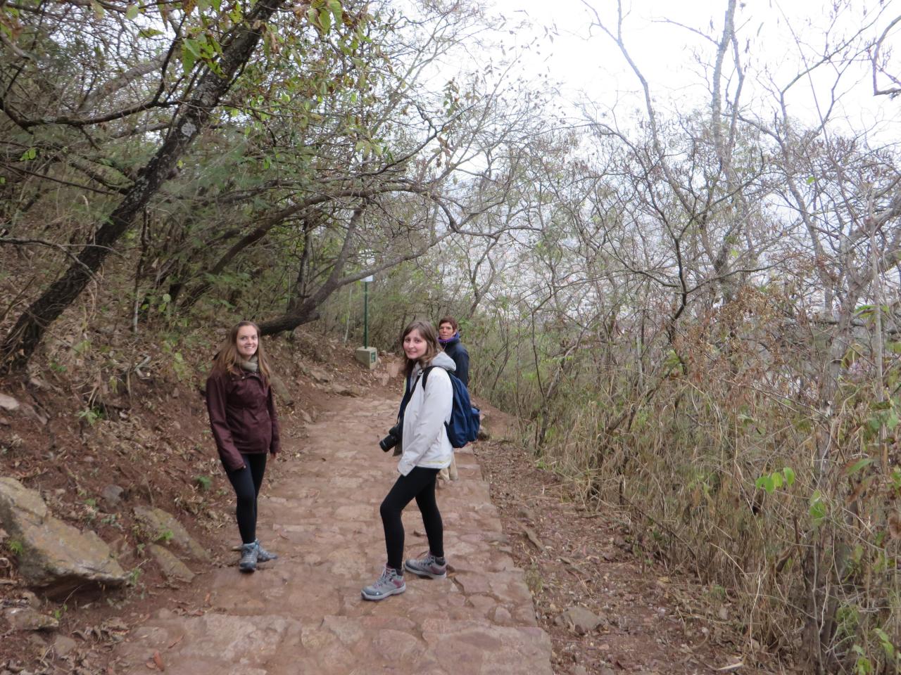 Salta