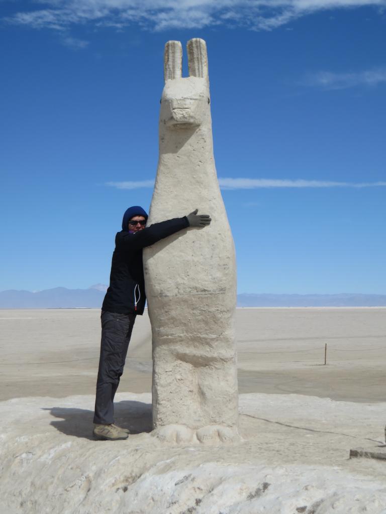 Salinas Grandes (désert de sel)