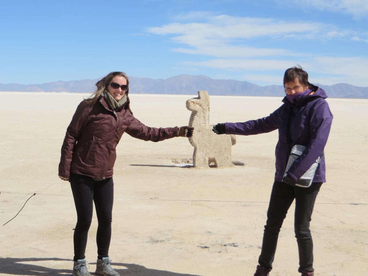 Salinas Grandes (désert de sel)
