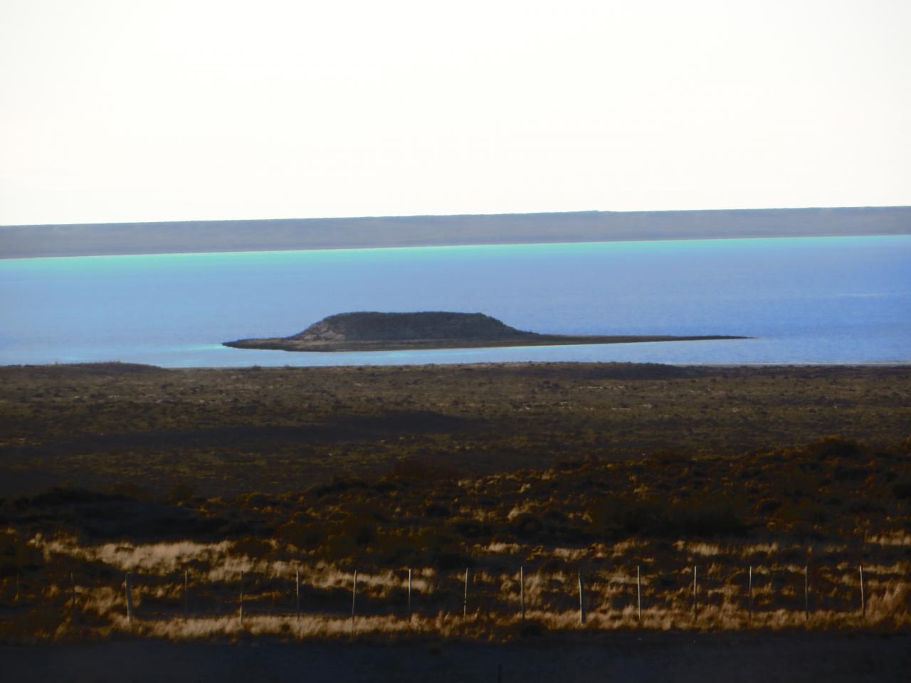 Peninsula Valdès & Tour en bâteau