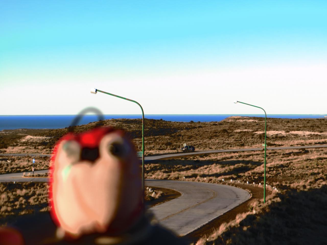 Peninsula Valdès & Tour en bâteau