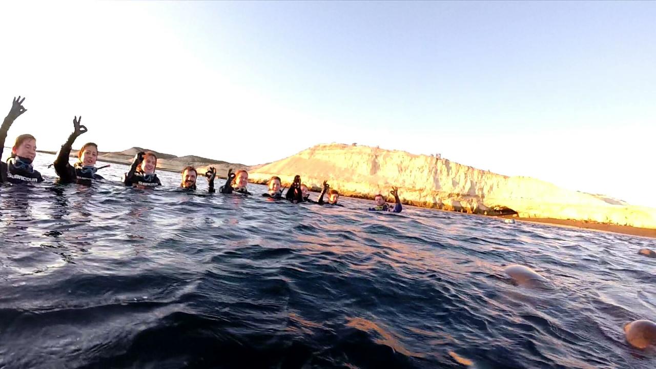 Plongée avec Lions de mer