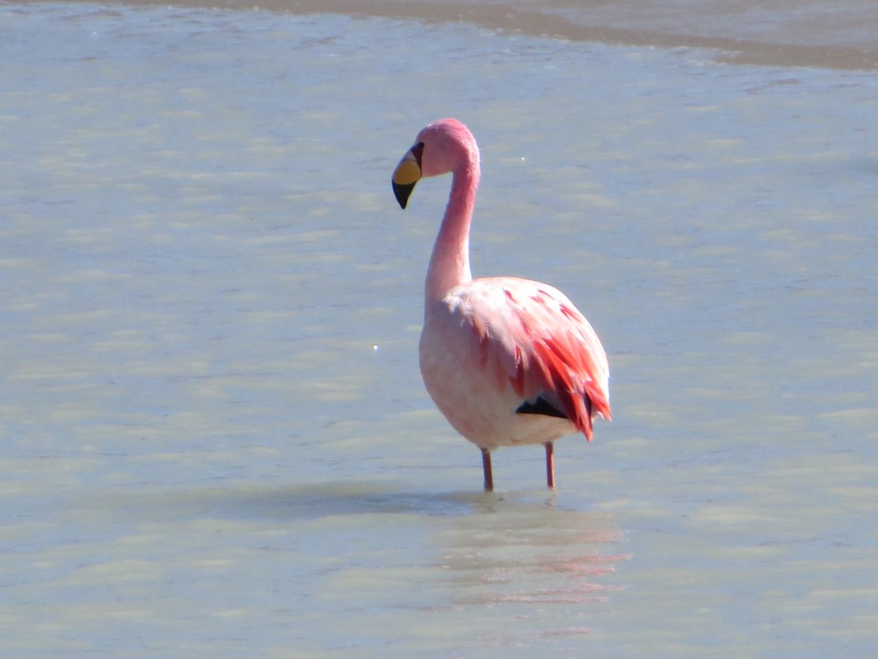Sud Lipez