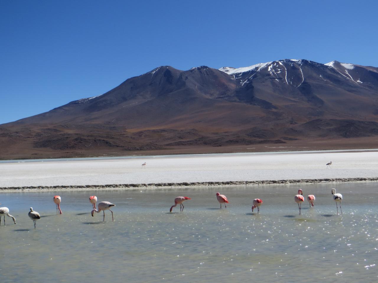 Sud Lipez