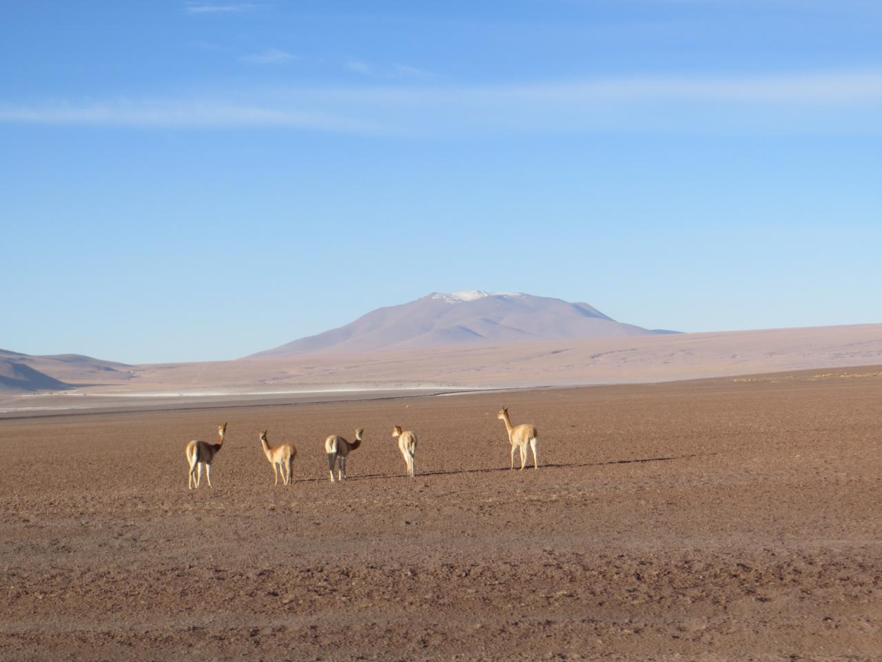 Sud Lipez 