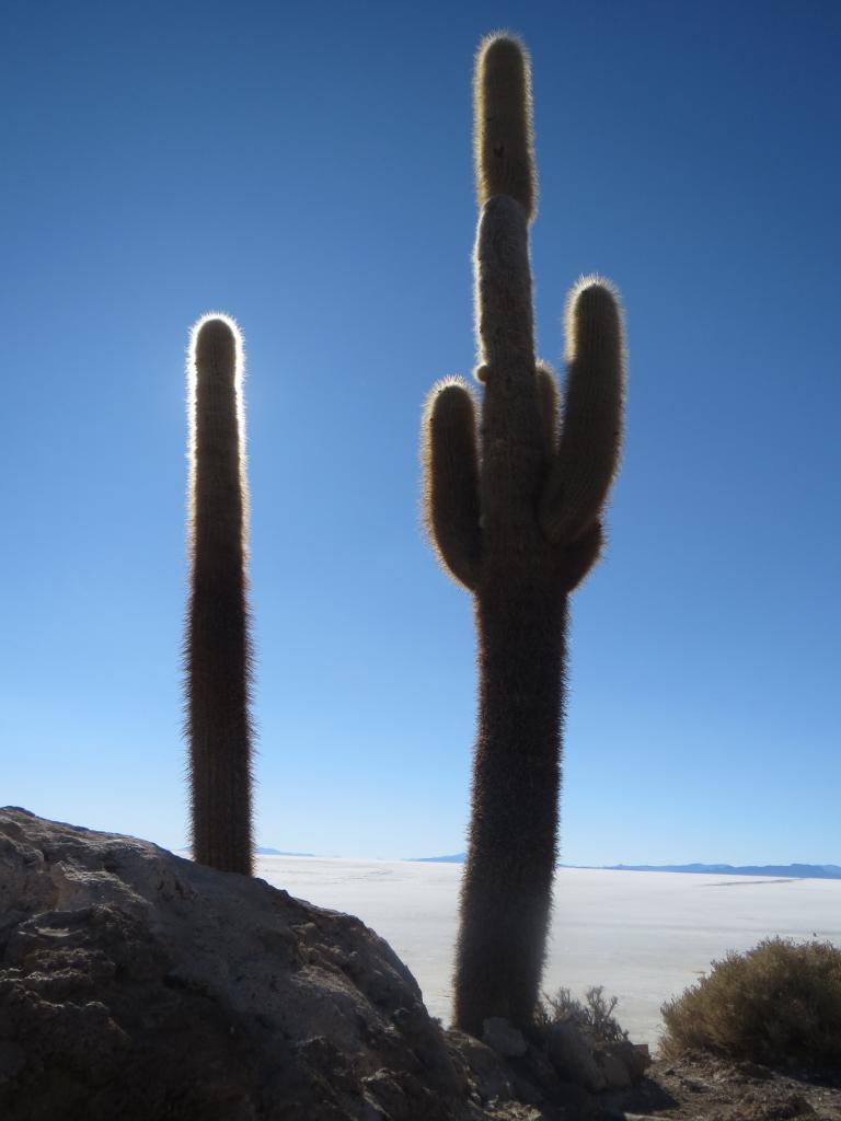 Salar Uyuni 
