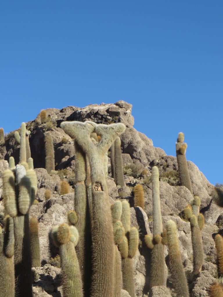 Salar Uyuni 