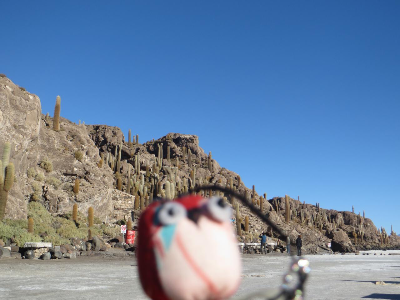 Salar Uyuni 