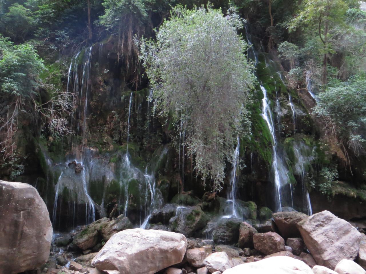 Parc Toro Toro