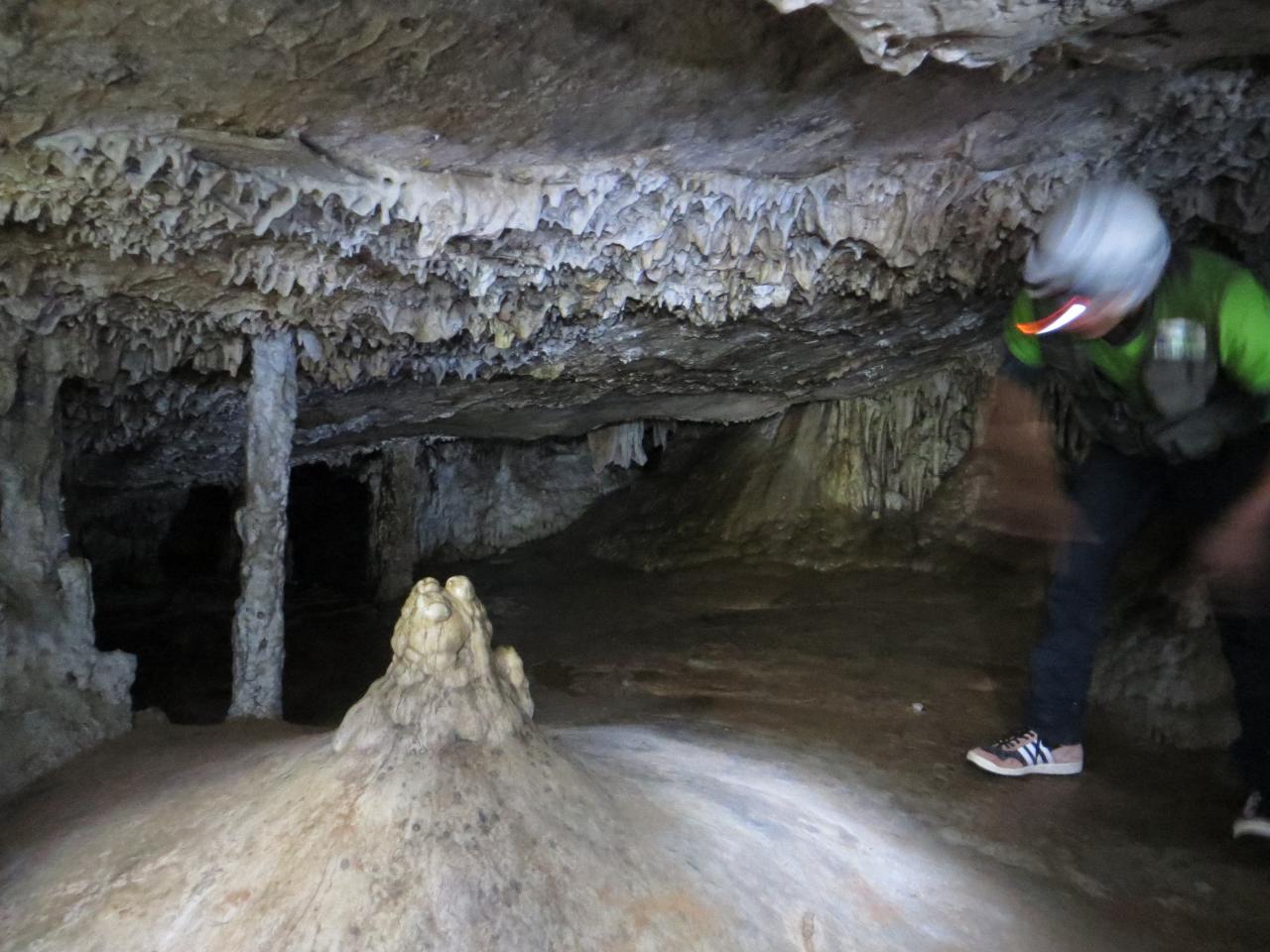 Parc Toro Toro