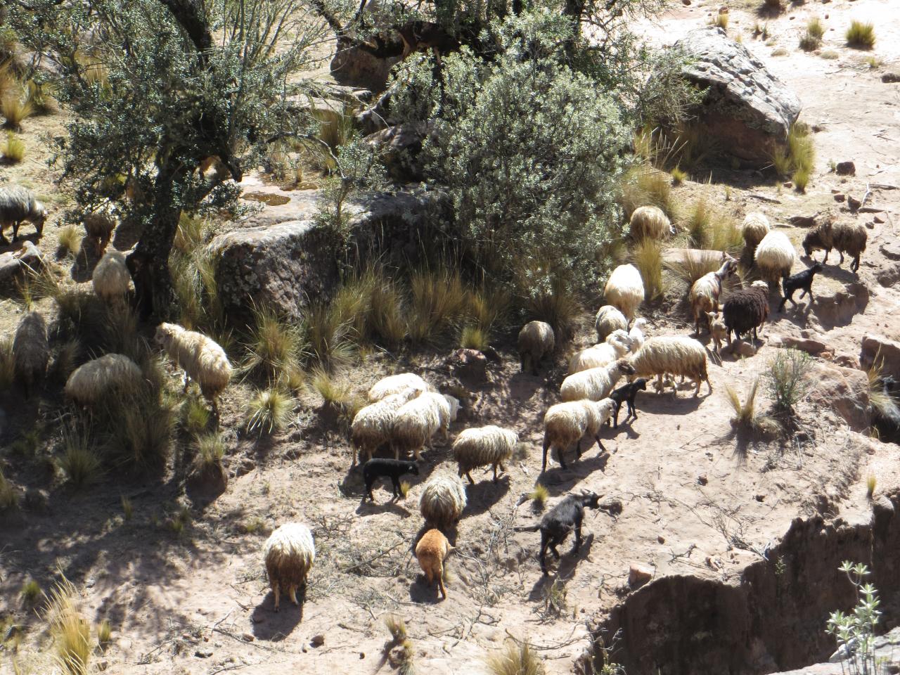 Parc Toro Toro