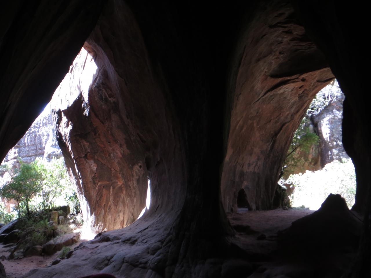 Parc Toro Toro