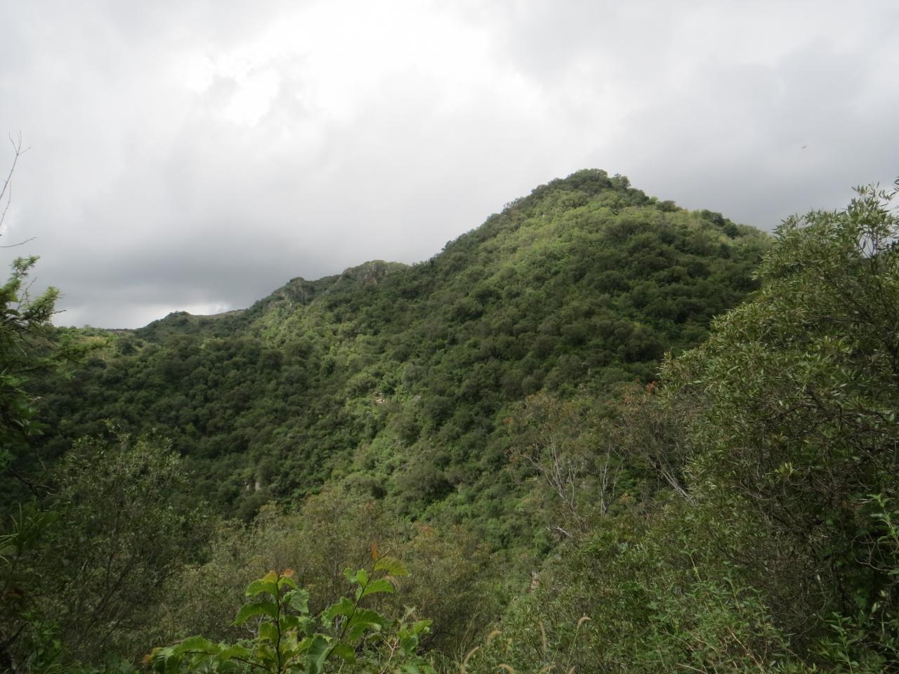 Parque las Vaquerías