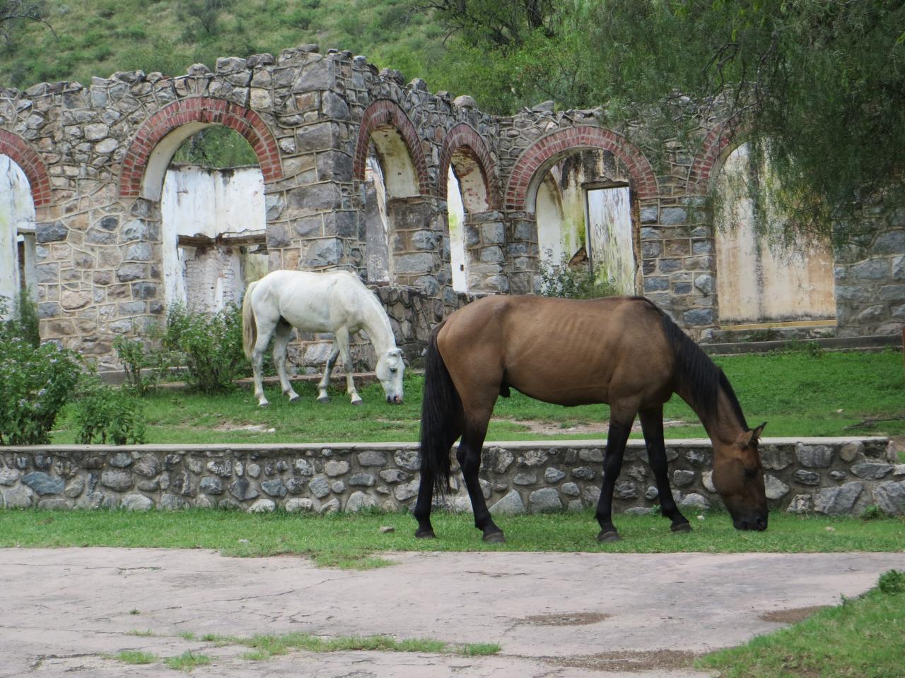 Parque las Vaquerías