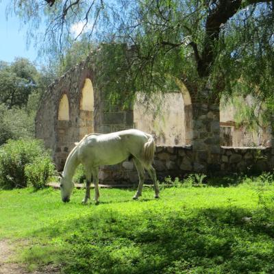 1 - Parque Las Vaquerías (7 Mars)