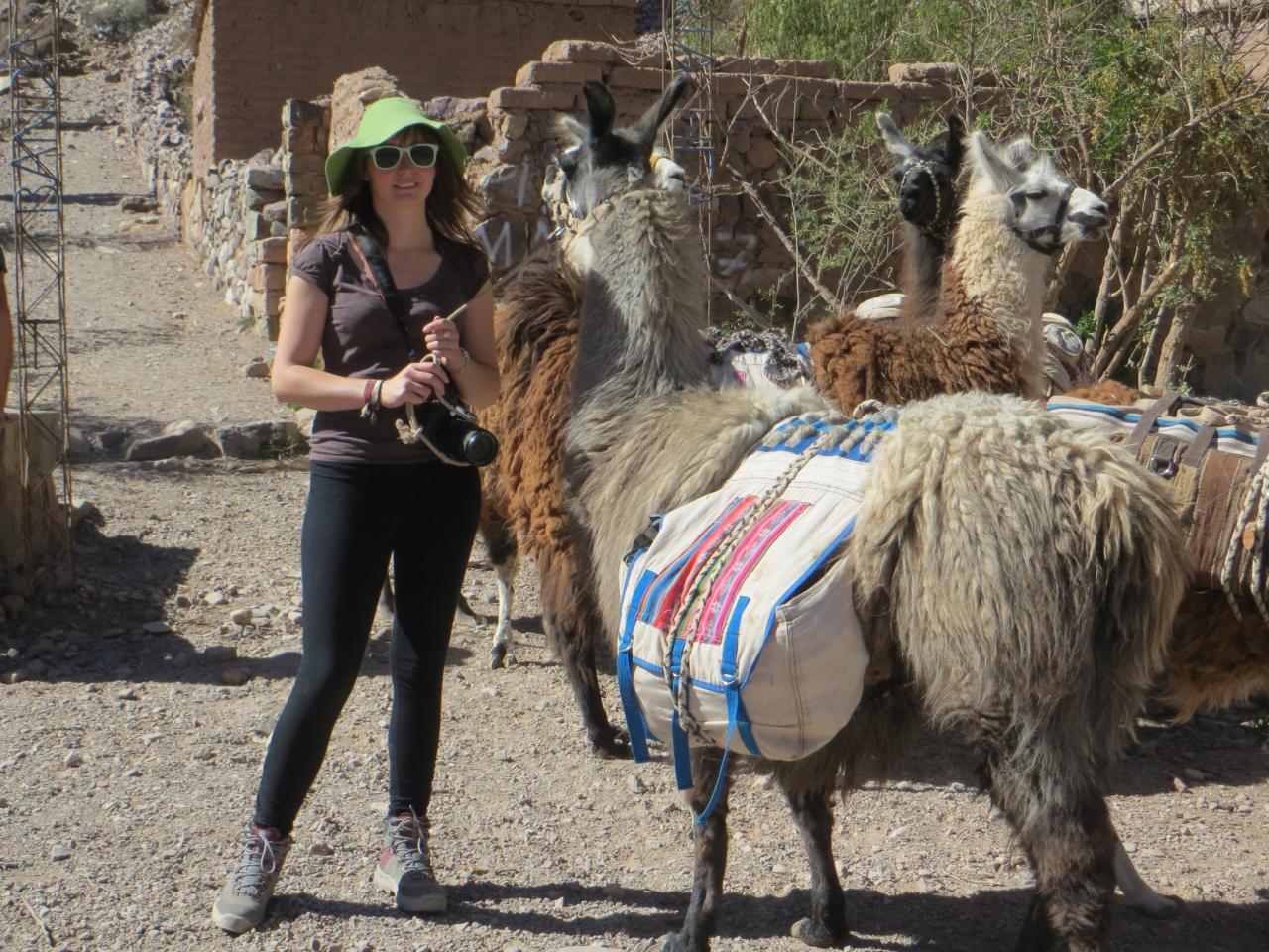 Quebrada de Humahuaca : Randonnée avec les lamas , vallée de Maímara