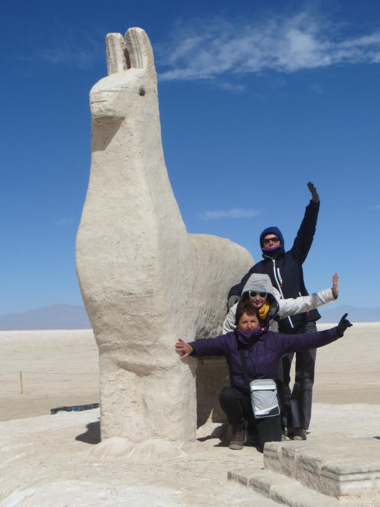 Salinas Grandes (désert de sel)