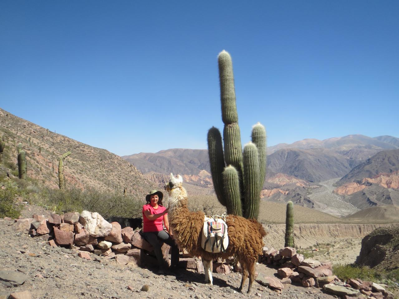 Quebrada de Humahuaca : Randonnée avec les lamas , vallée de Maímara