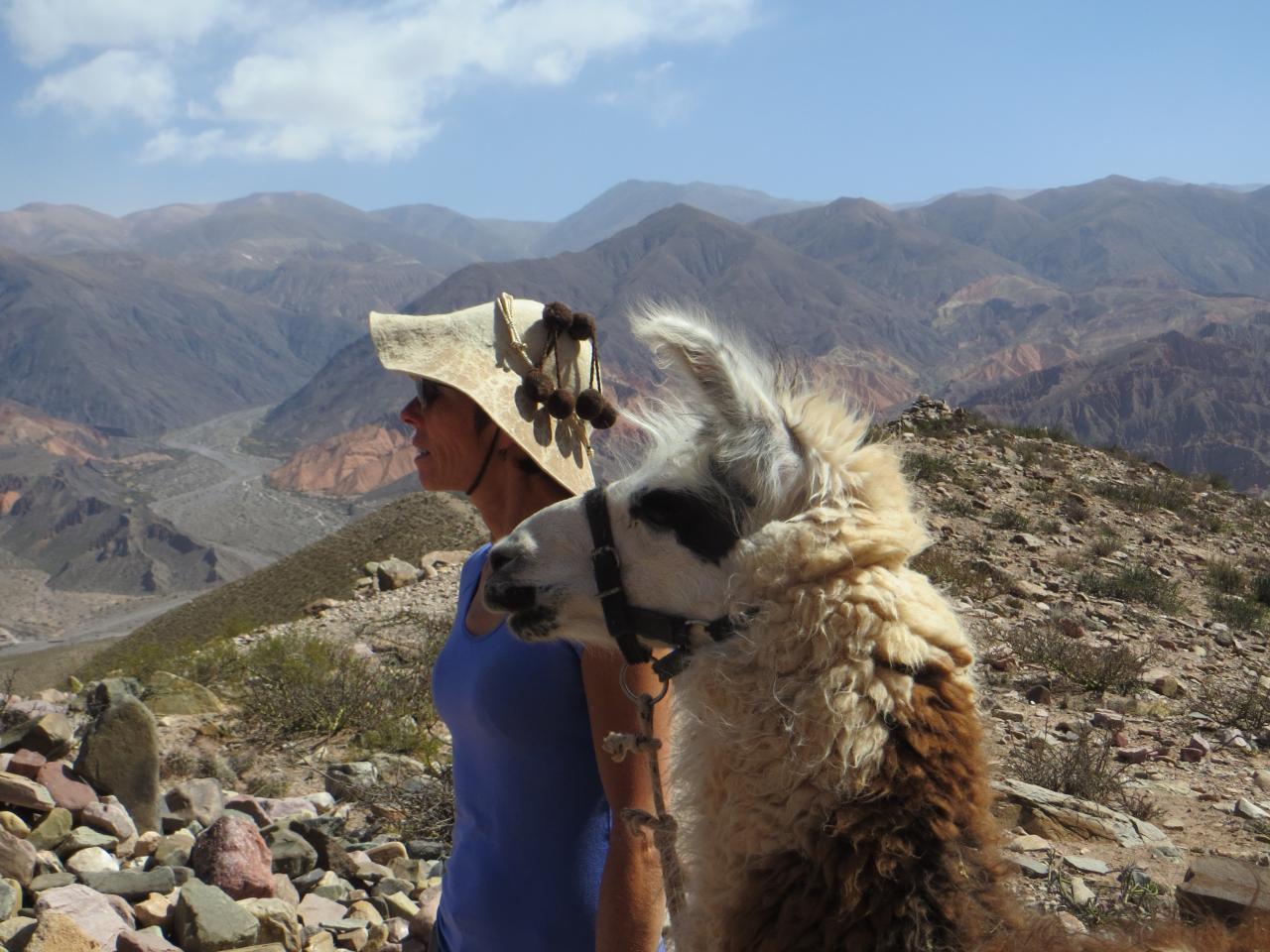 Quebrada de Humahuaca : Randonnée avec les lamas , vallée de Maímara